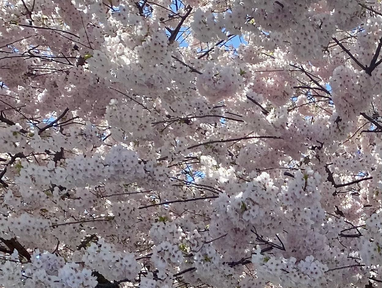 414 288 East 6th Street - Photo 3