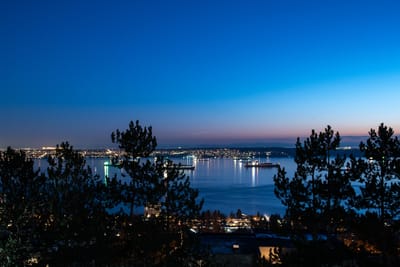 21 2236 Folkestone Way - Photo 23