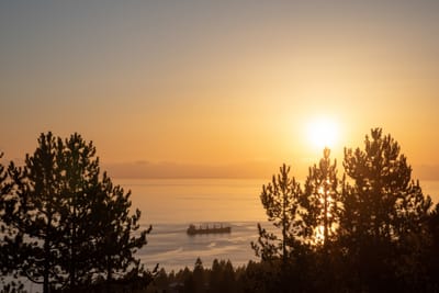 21 2236 Folkestone Way - Photo 17