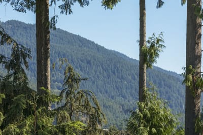 4776 Meadfeild - Photo 22