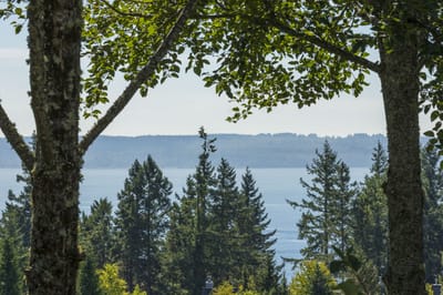 4776 Meadfeild - Photo 24