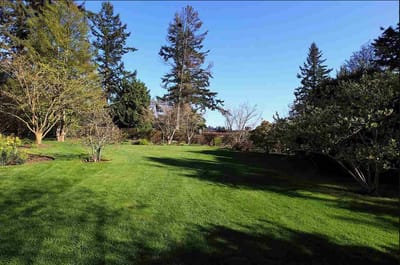 6226 Overstone Drive - Photo 8