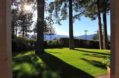 6226 Overstone Drive - Photo 9