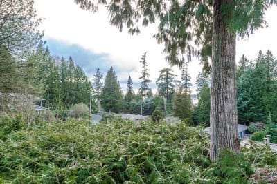 5477 Greenleaf Road - Photo 31