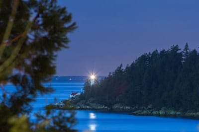 3890 Sharon Drive - Photo 19