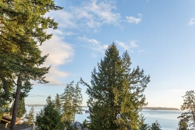 3890 Sharon Drive - Photo 28