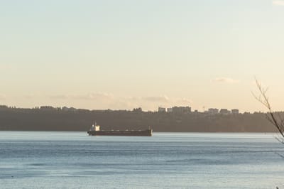 3890 Sharon Drive - Photo 29