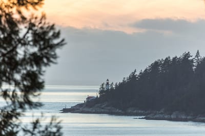 3890 Sharon Drive - Photo 30