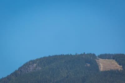 404 1033 St. Georges - Photo 13