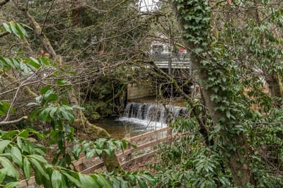 1009 Canyon Boulevard - Photo 33