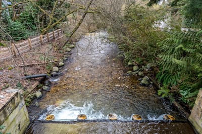 1009 Canyon Boulevard - Photo 34