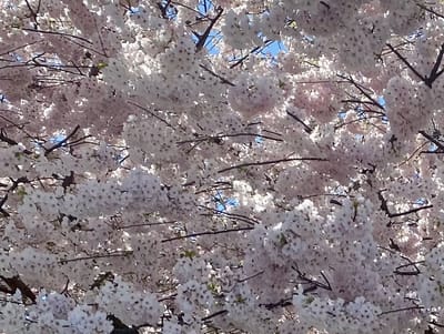 414 288 East 6th Street - Photo 3