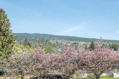 2466 Haywood Avenue - Photo 26