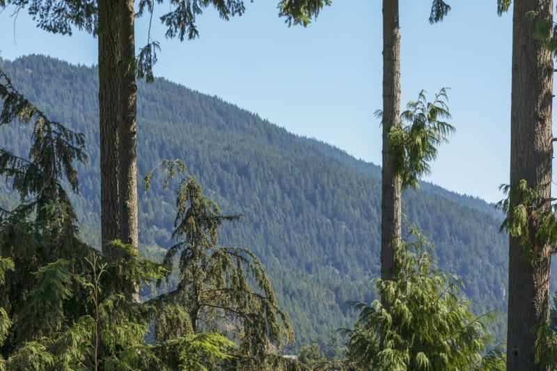 4776 Meadfeild - Photo 22