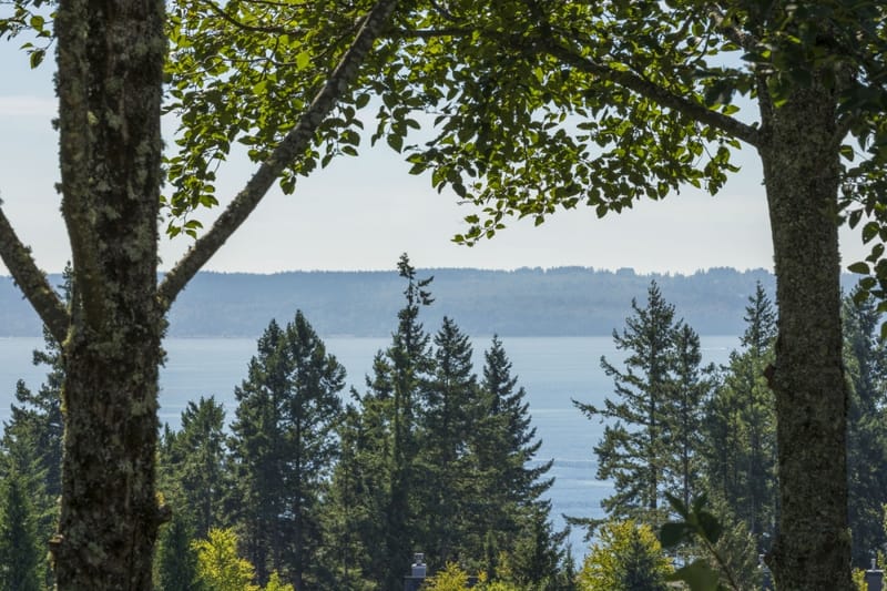 4776 Meadfeild - Photo 24