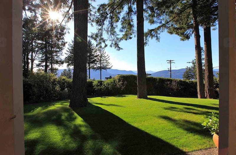 6226 Overstone Drive - Photo 9