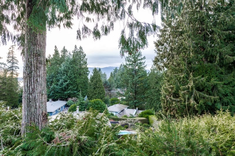 5477 Greenleaf Road - Photo 30
